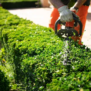 Landscapers thumbnail image
