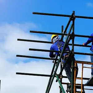 Scaffolders thumbnail image