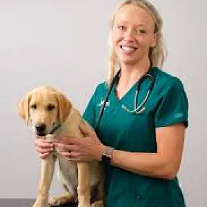 Vets thumbnail image