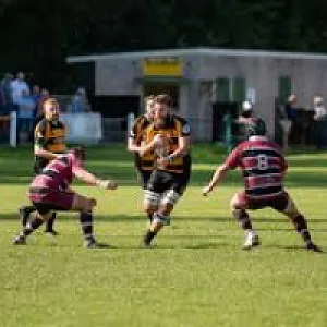 Rugby thumbnail image
