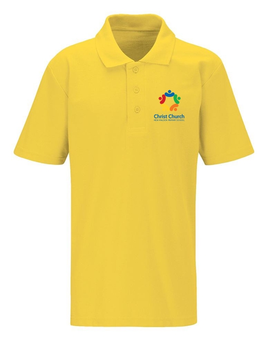 Adults Polo